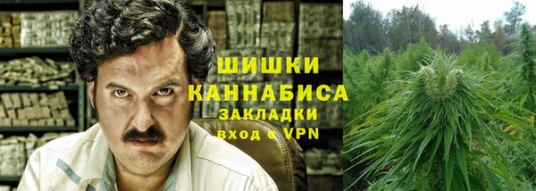 дживик Верея