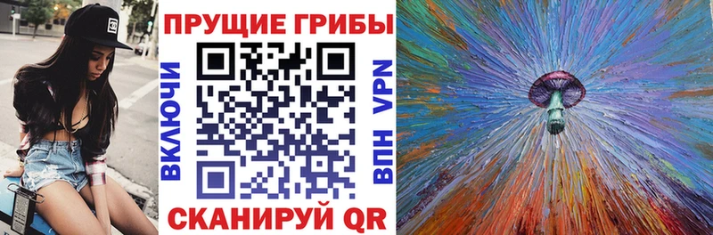 Галлюциногенные грибы прущие грибы Кизилюрт