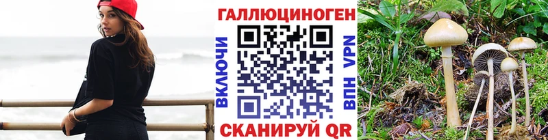 Купить  Кизилюрт  Галлюциногенные грибы мицелий 